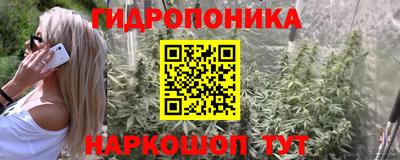 шишки Кунгур