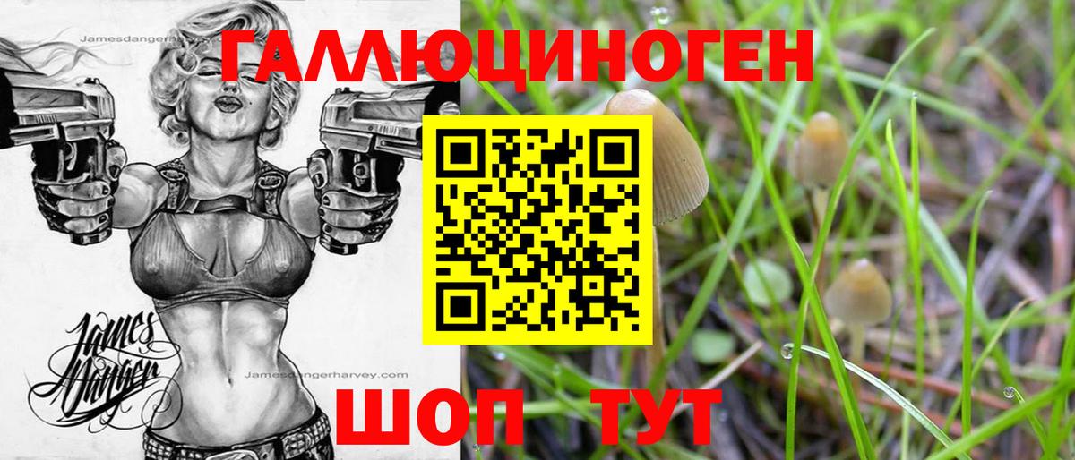 Галлюциногенные грибы ЛСД  Вход с VPN  Псилоцибиновые грибы Psilocybe  Донецк 